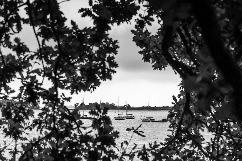 2019_09_10_Bretagne (0005).jpg - Dans le Golfe du Morbihan (septembre 2019)